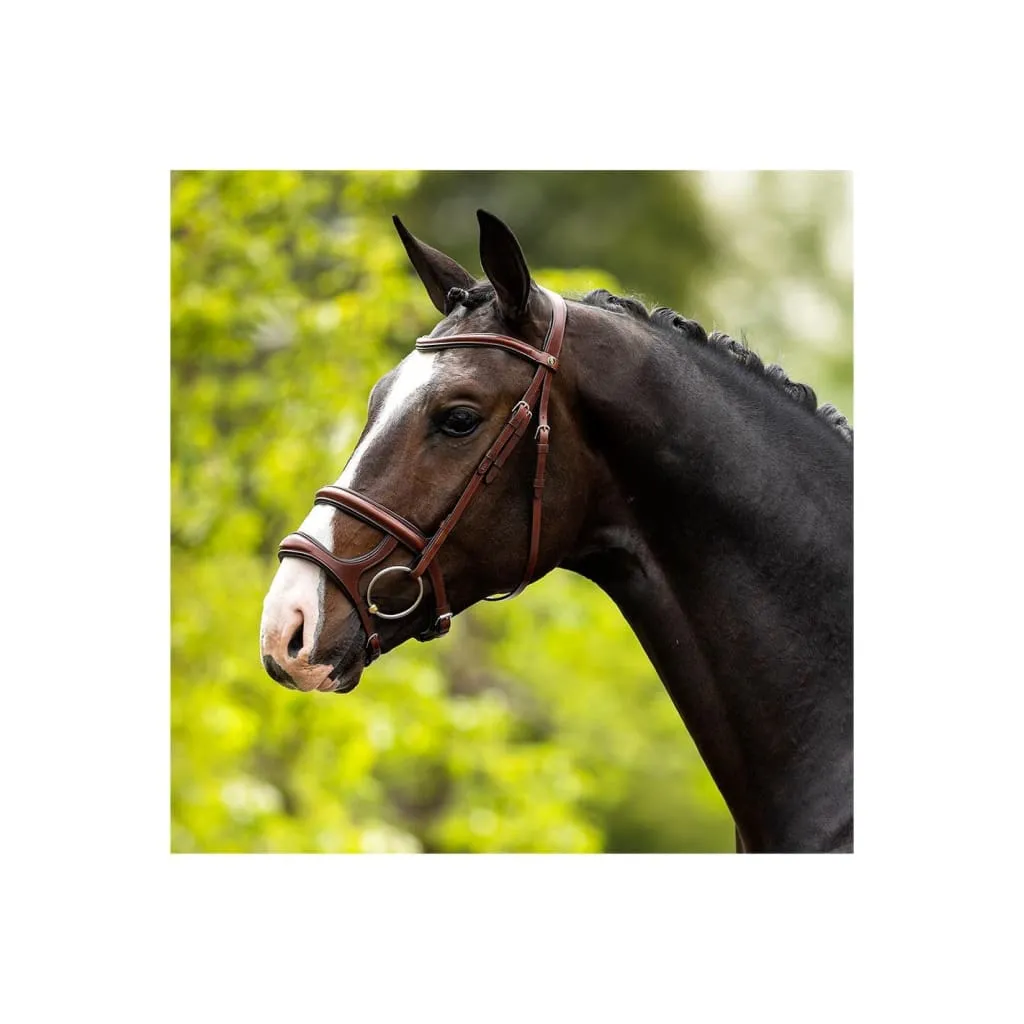 BR Bath Bridle With Double Noseband Oak/Silver