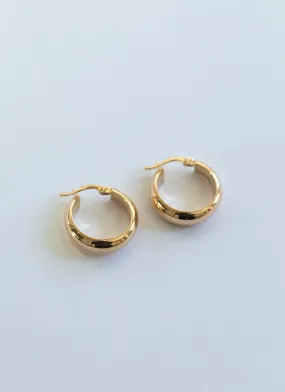 Chrissie earrings 14k gold