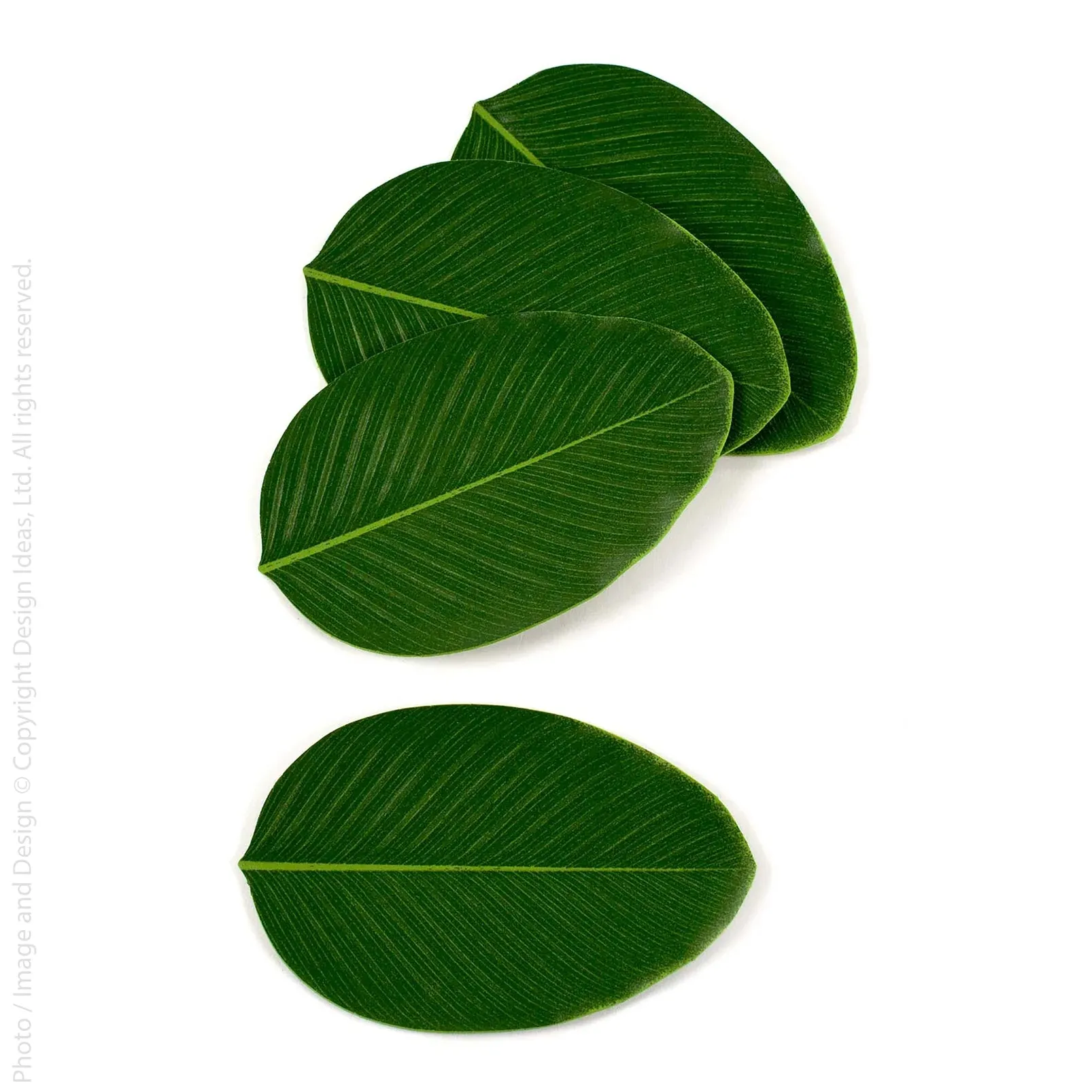 Leaf Coasters, Set of 4