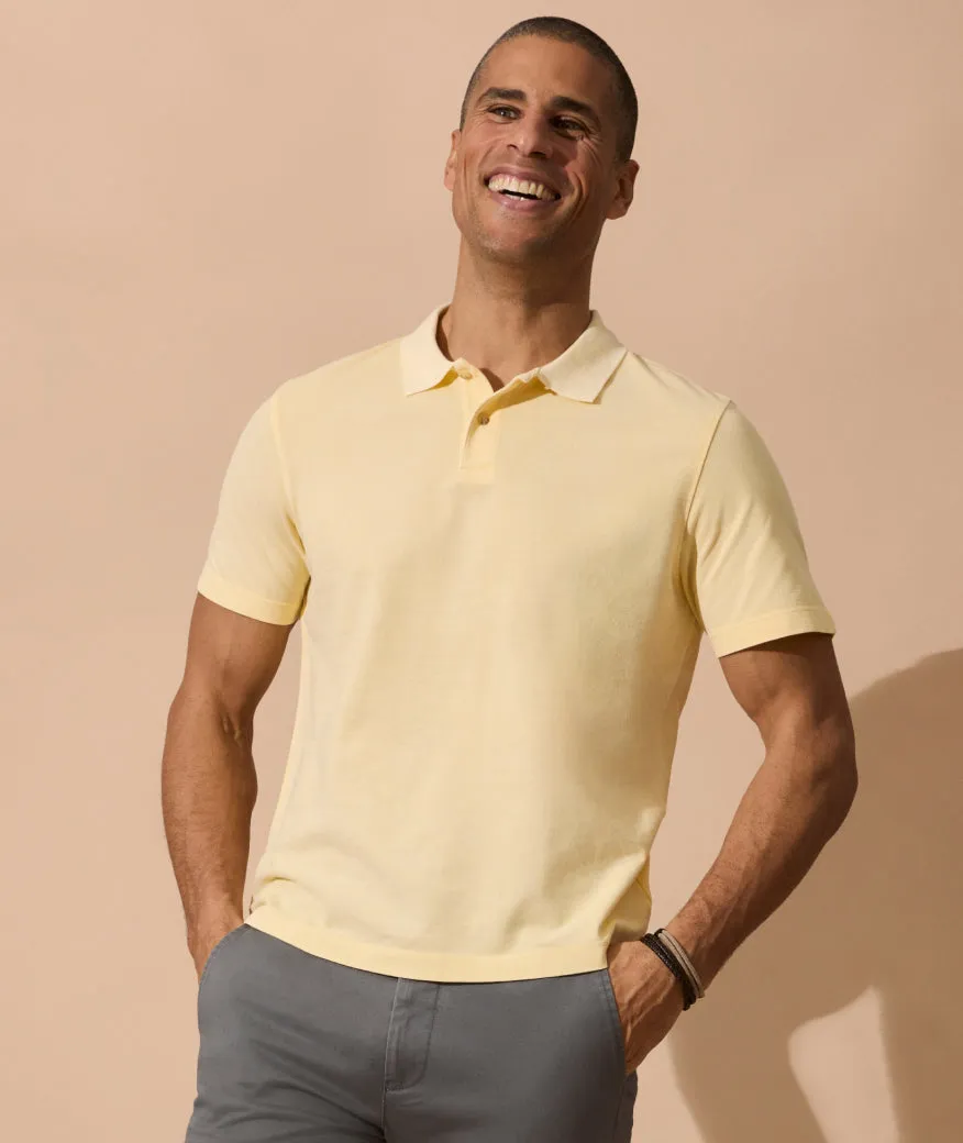 Mineral Dye Polo