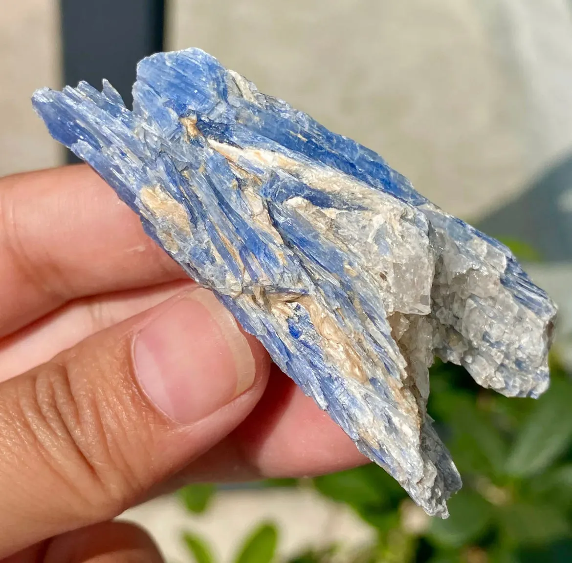 Natural Crystal Kyanite Rough Form