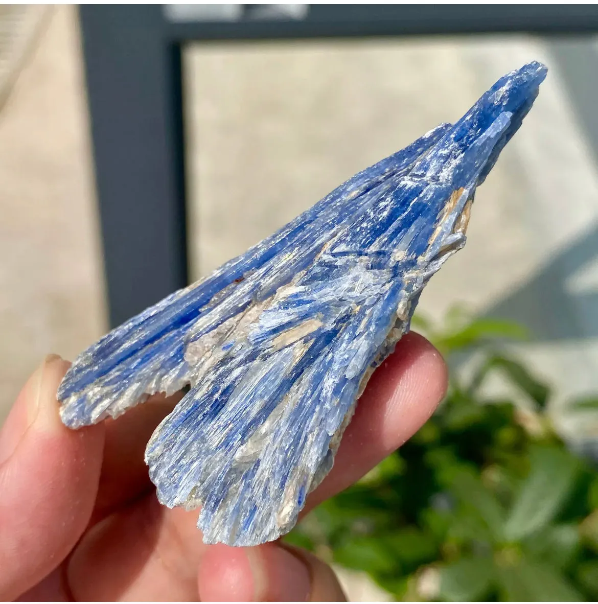 Natural Crystal Kyanite Rough Form