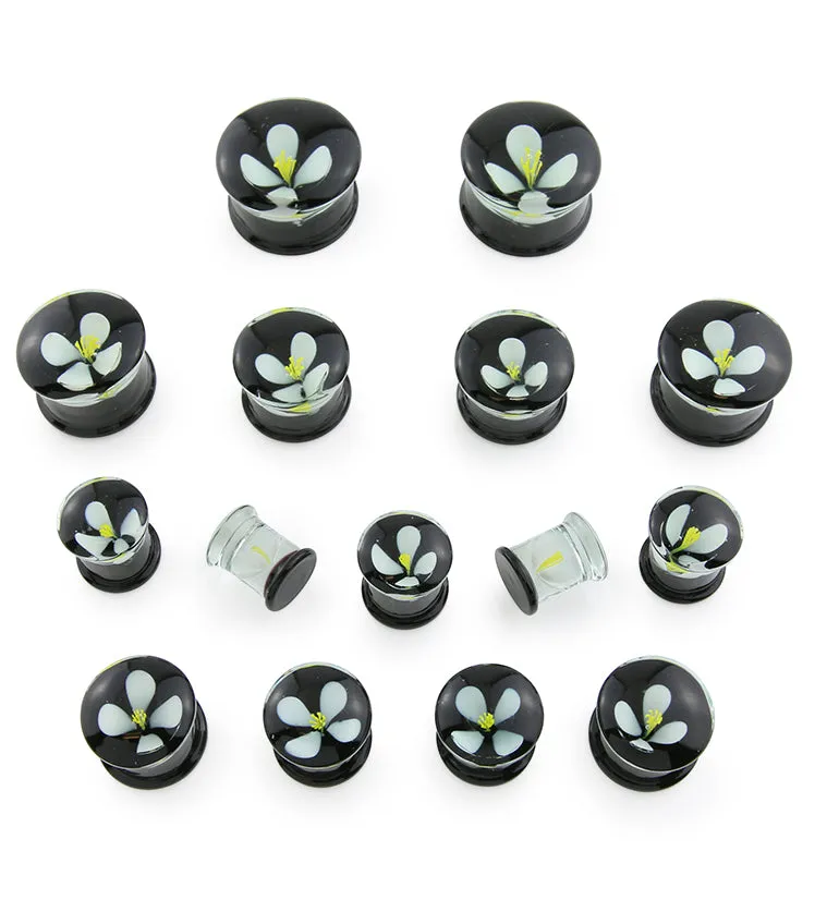 White Poppy Flower Black Glass Double Flare Plugs