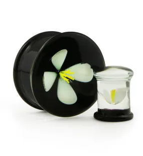 White Poppy Flower Black Glass Double Flare Plugs