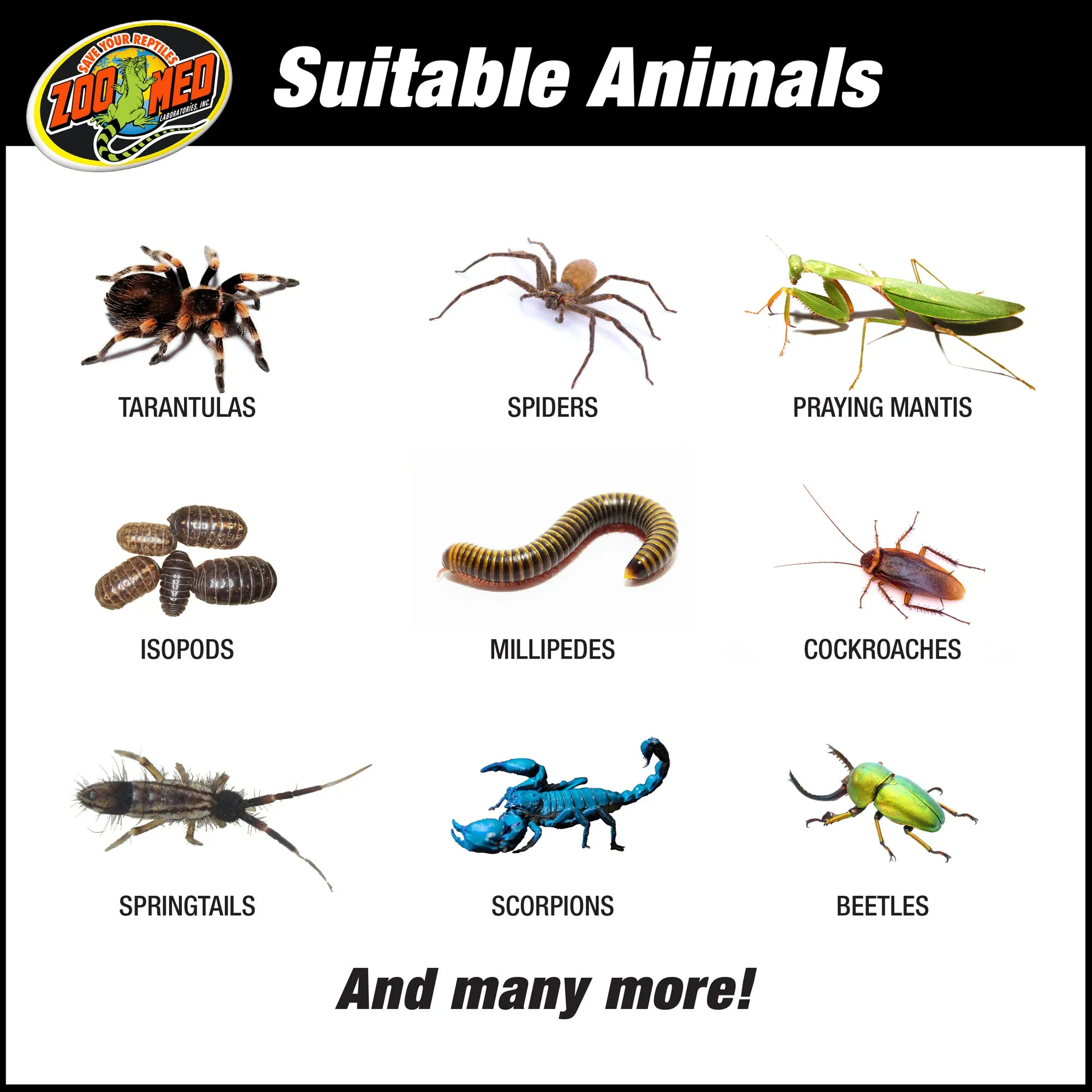 Zoo Med Creatures 3G Habitat Kit